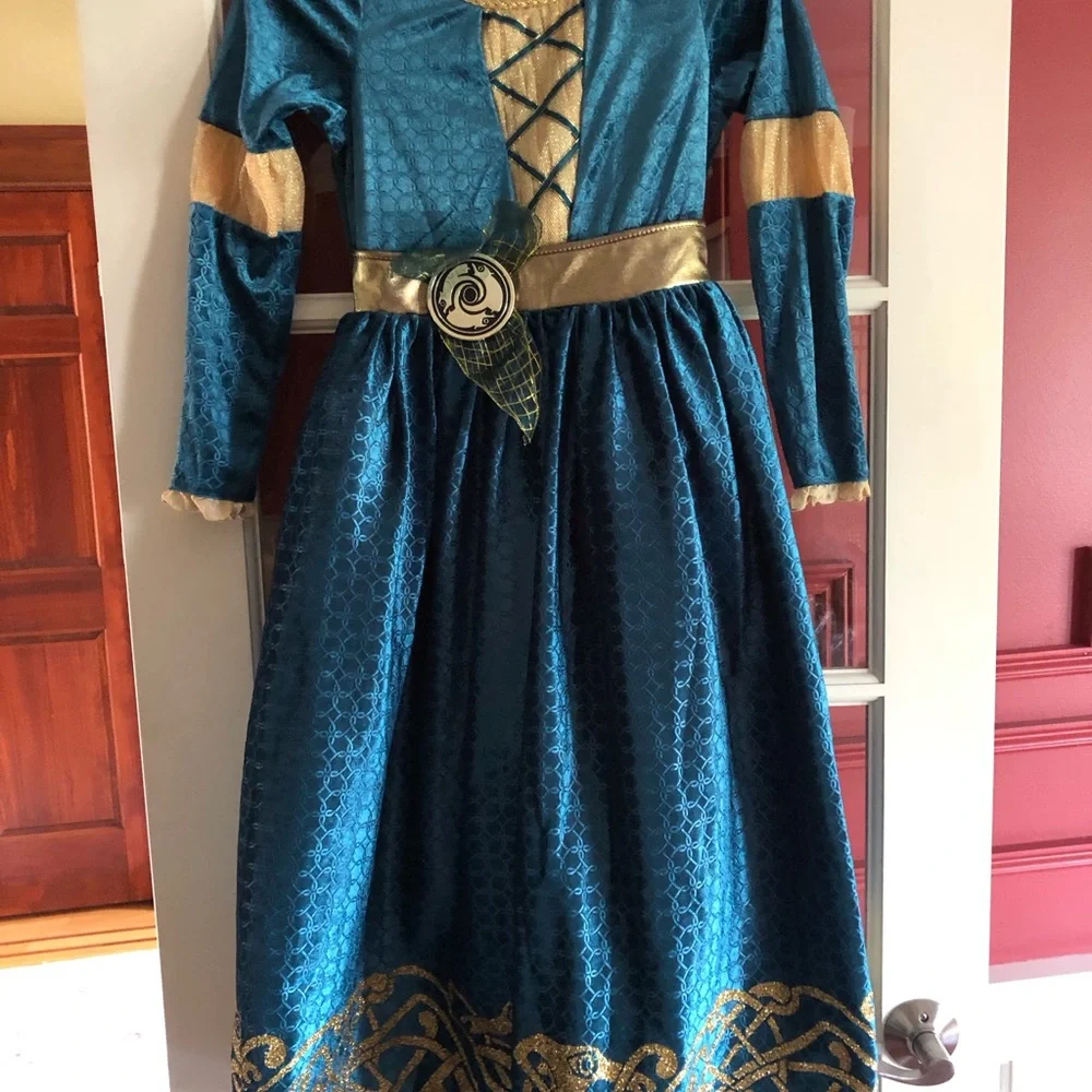 Disney Teal and Gold Princess Dress Costume